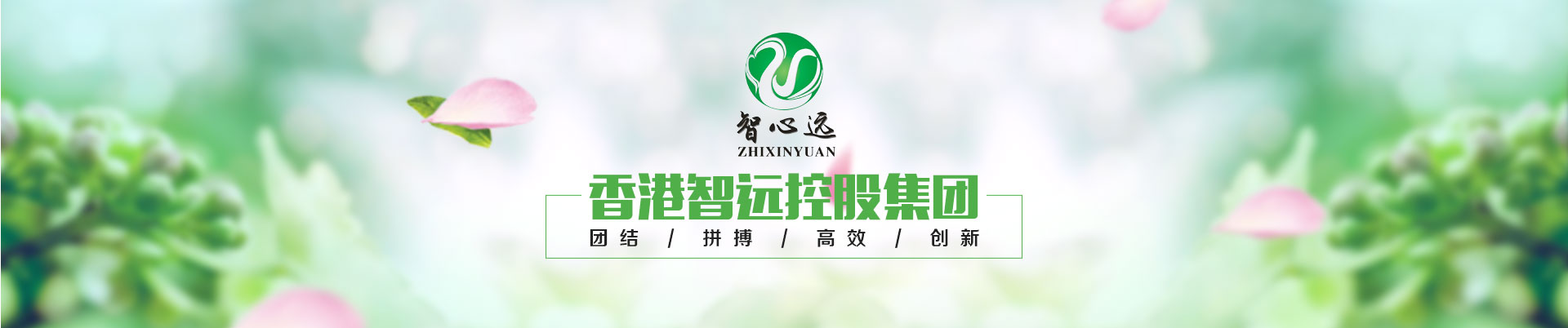 河南智心遠商貿有限公司